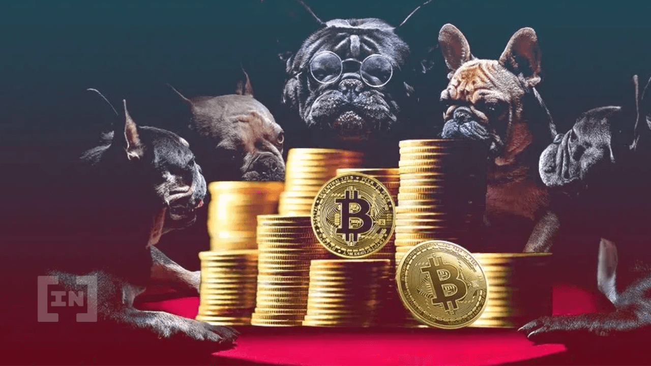 العائلة التي باعت كل شيء لأجل بيتكوين وخسرت مليون دولار