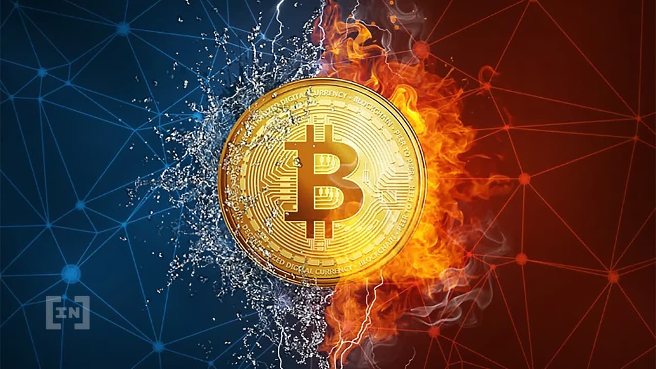 محافظ بت كوين ترتفع مع انخفاض سعر العملة المشفرة 