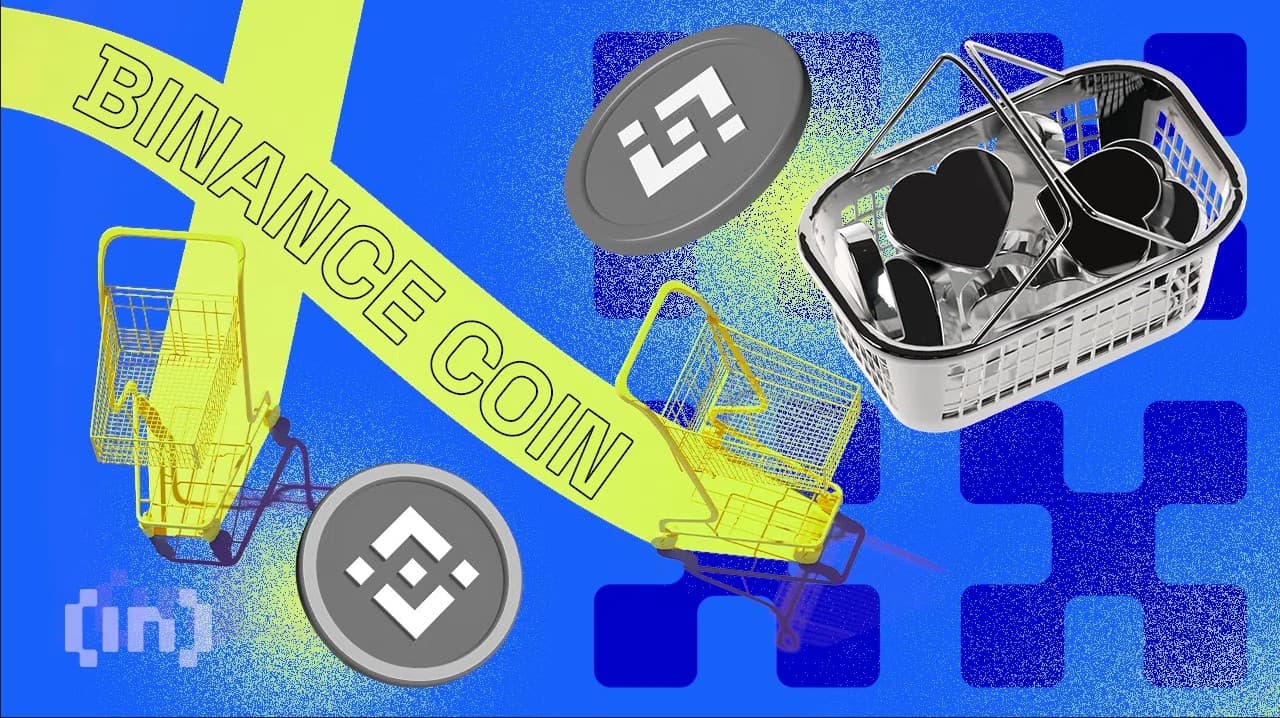  سعر عملة BNB ينخفض إلى أقل من 250 دولارًا.. كيف يمكن استرداده؟