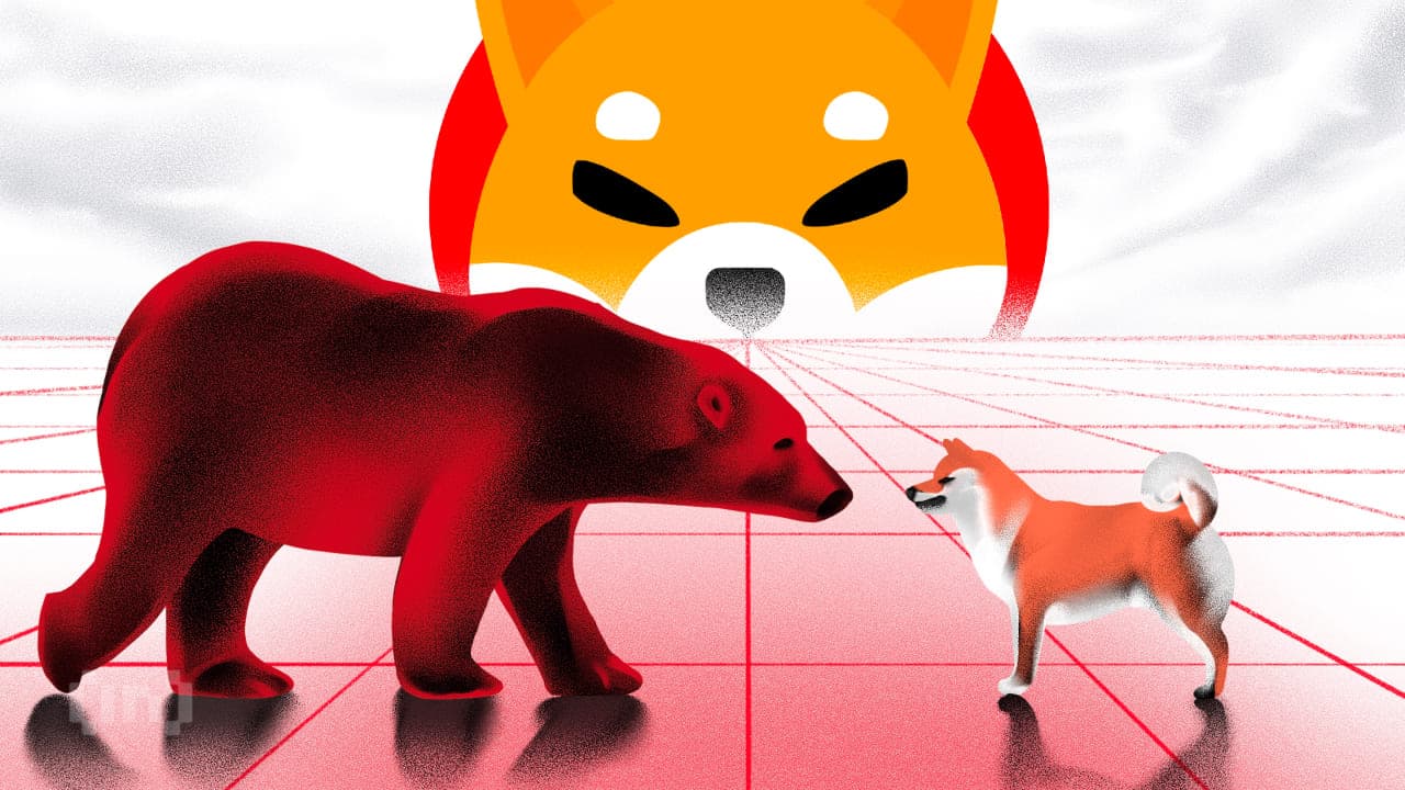 الدببة تتفوق على الثيران في شيبا إينو (SHIB) وسط انخفاض السعر بنسبة 22%