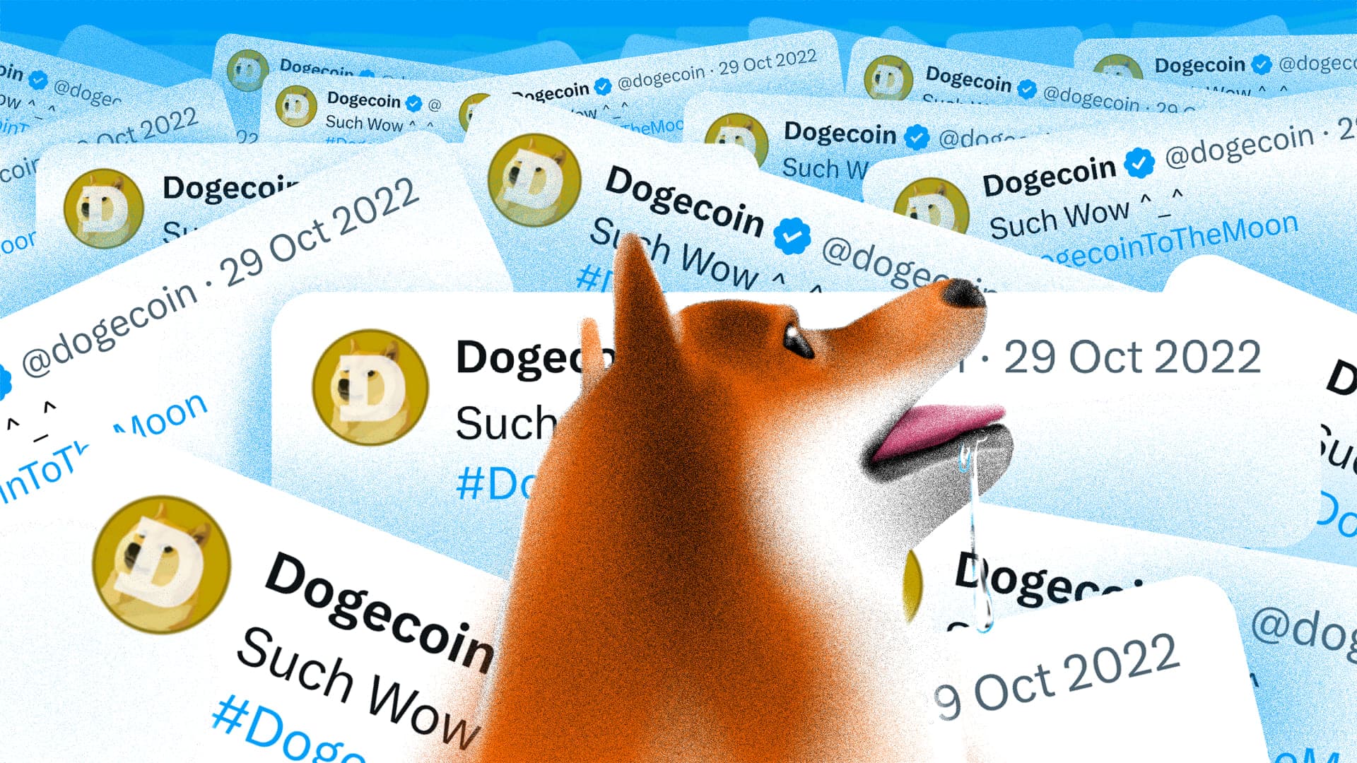 سعر دوجكوين (DOGE) قد يرتفع بنسبة 90% بعد تغريدة إيلون ماسك "D.O.G.E"