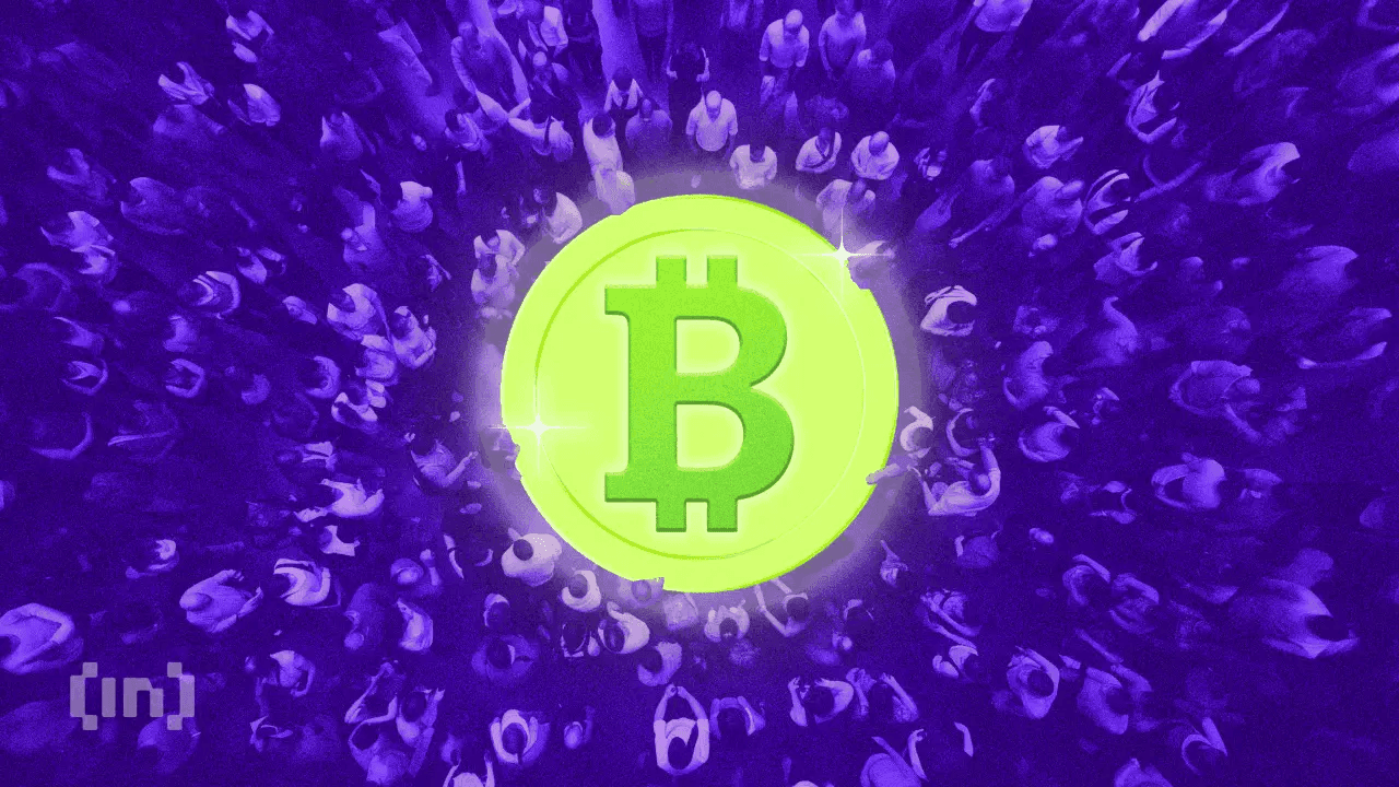 محللو العملات المشفرة منقسمون حيث تهيمن البيتكوين وتعرقل آمال العملات البديلة