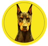 Dobermann