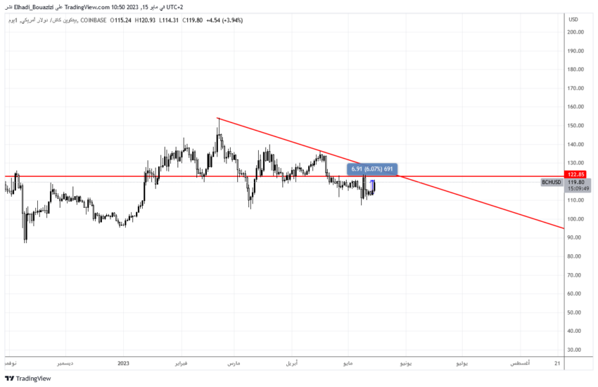 الرسم البياني اليومي لسعر عملة BCH