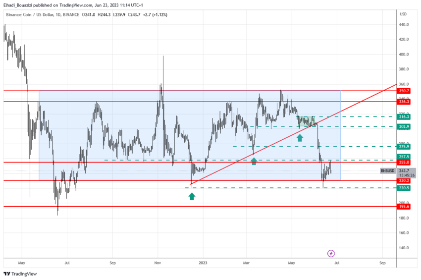 الرسم البياني اليومي لسعر عملة BNB