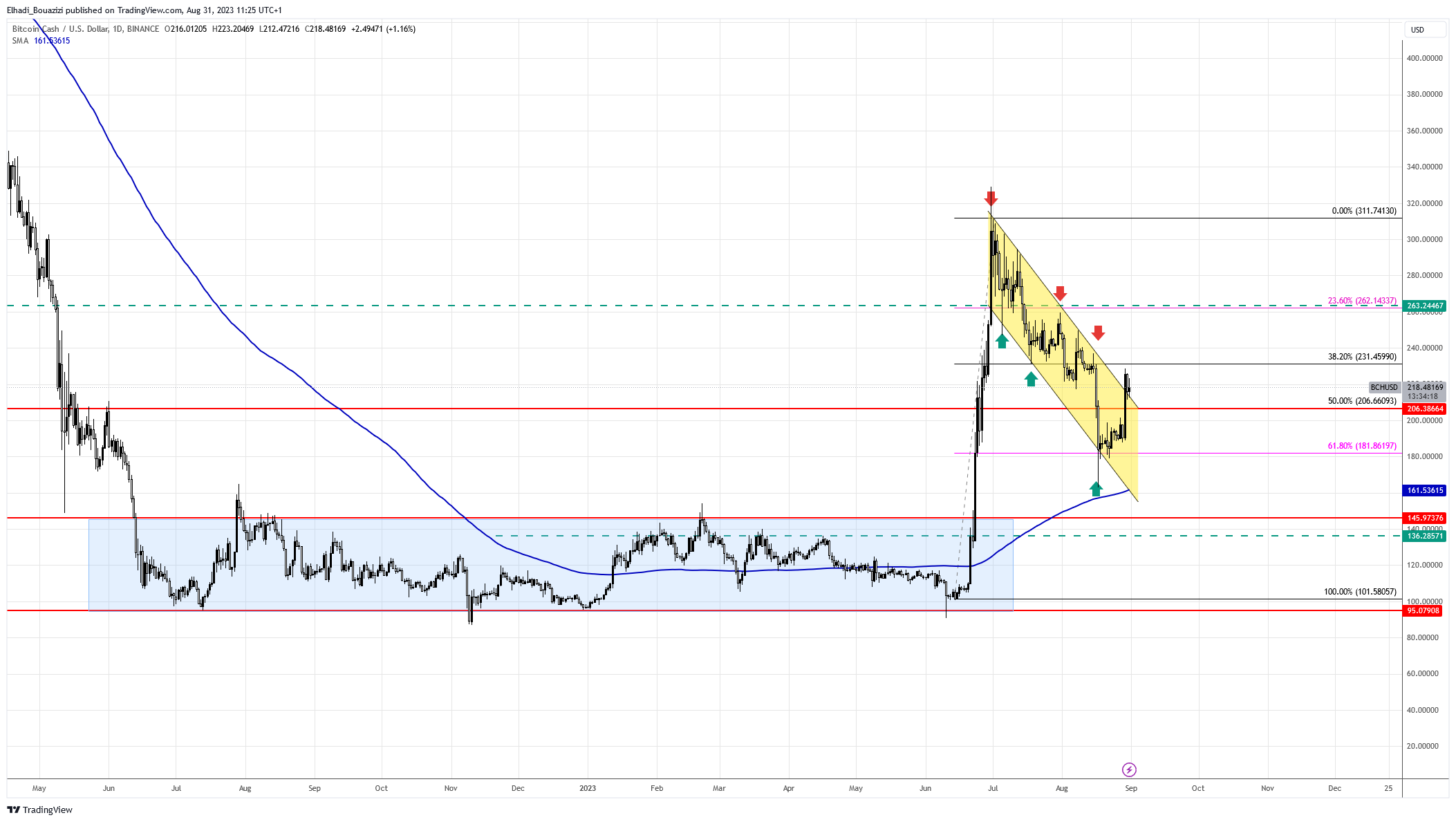 الرسم البياني اليومي لسعر بيتكوين كاش BCH