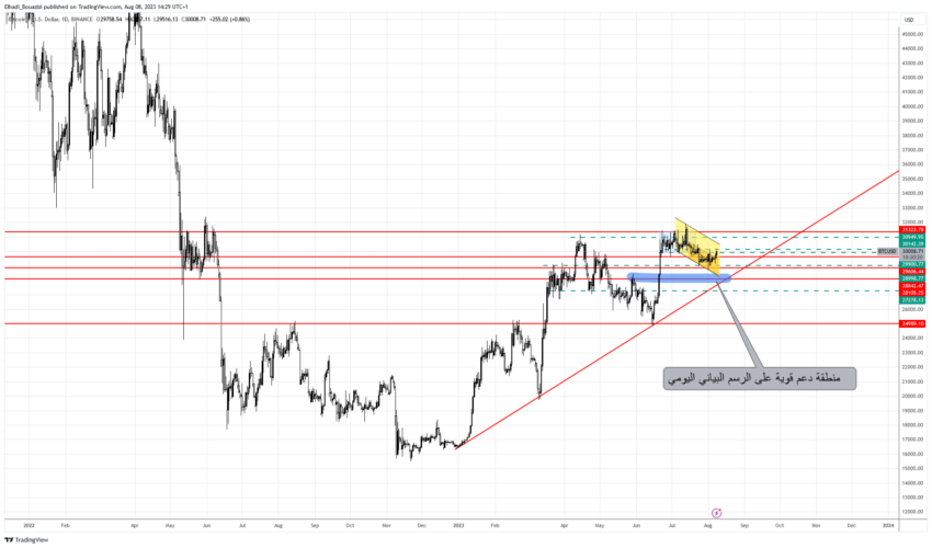 الرسم البياني اليومي سعر البيتكوين BTC