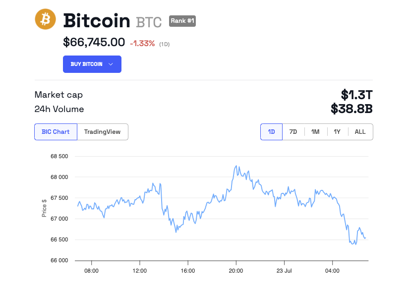 أداء سعر بيتكوين