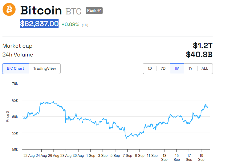 أداء سعر البيتكوين