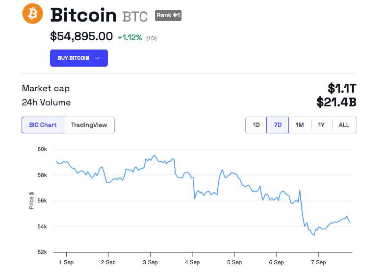 أداء سعر بيتكوين