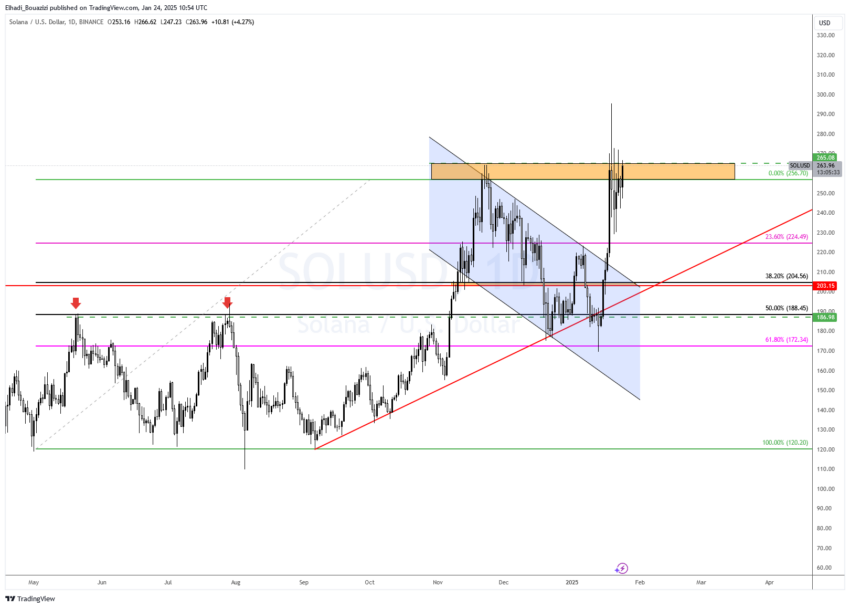 الرسم البياني اليومي لسعر عملة SOL المصدر: TradingView