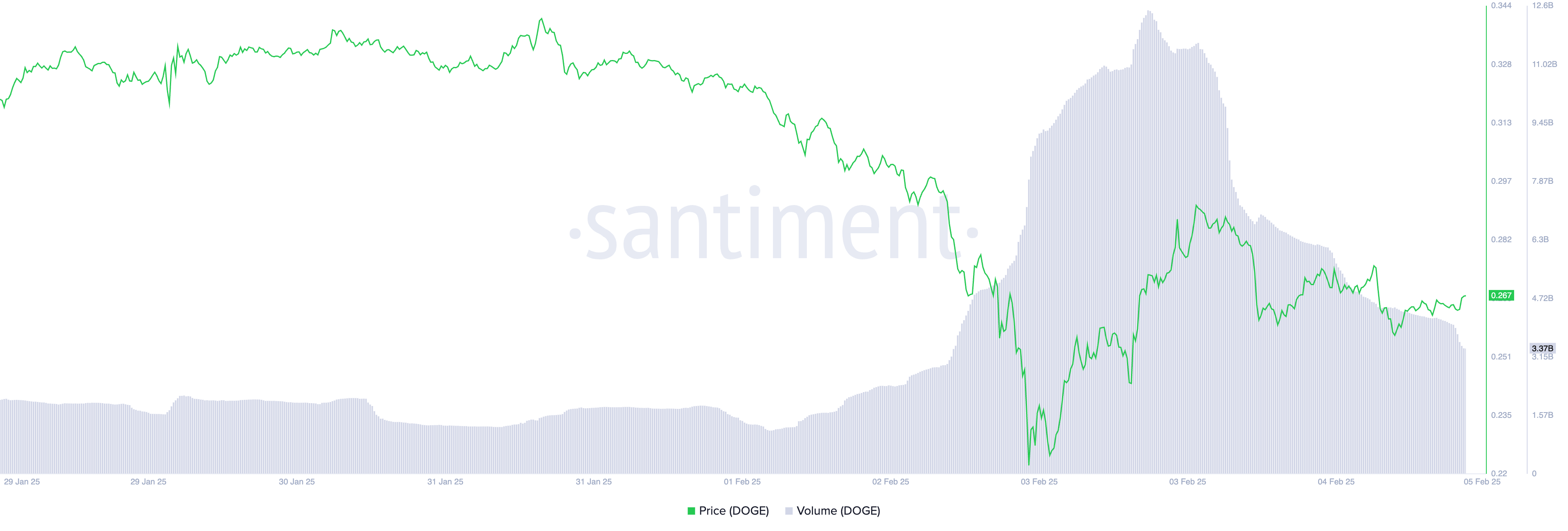 سعر دوجكوين وحجم التداول.