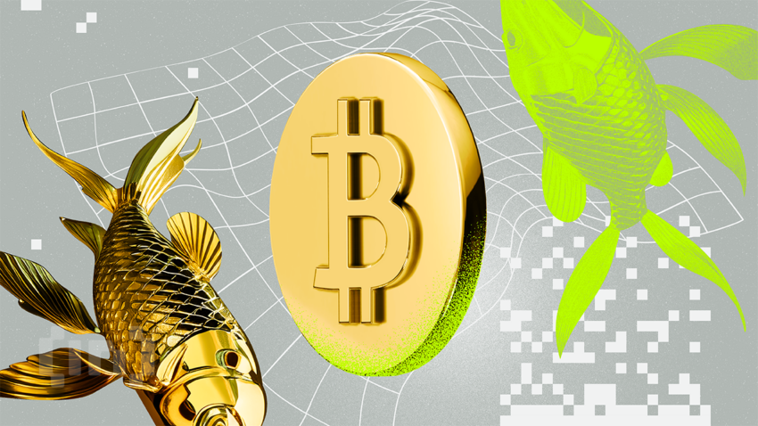 بيتكوين ستتبع ارتفاع الذهب مع تأخير لمدة 100 يوم وسط ازدهار السيولة، يقول المحلل