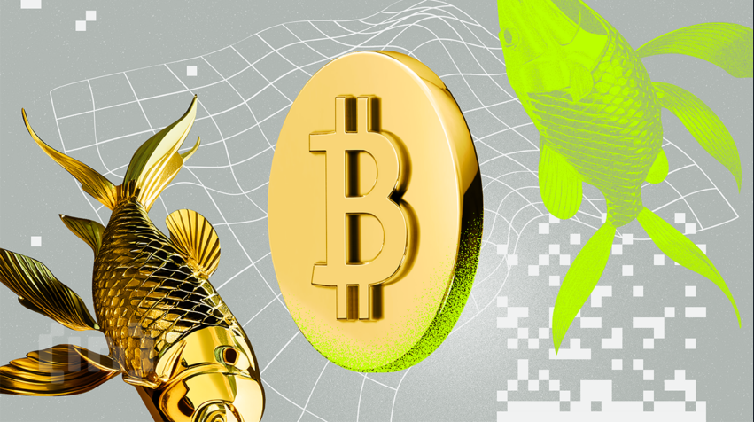 هل سجل سعر الذهب قمة 2025 عند 3500$؟ 
