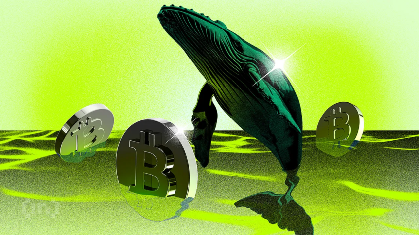 الحيتان الجديدة للبيتكوين تمتلك الآن غالبية رأس المال BTC | مراقبة الحيتان الأسبوعية