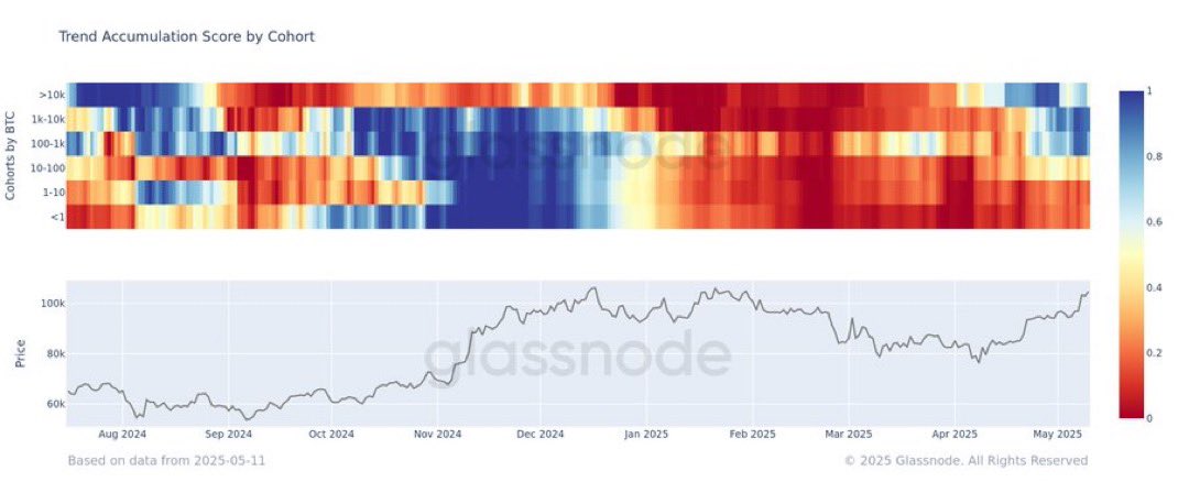 درجة تراكم الاتجاه لبيتكوين حسب الفئة. المصدر: Glassnode.
