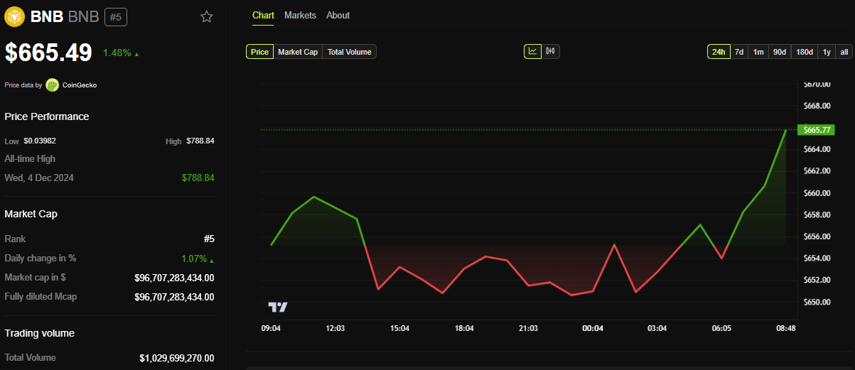 أداء سعر BNB