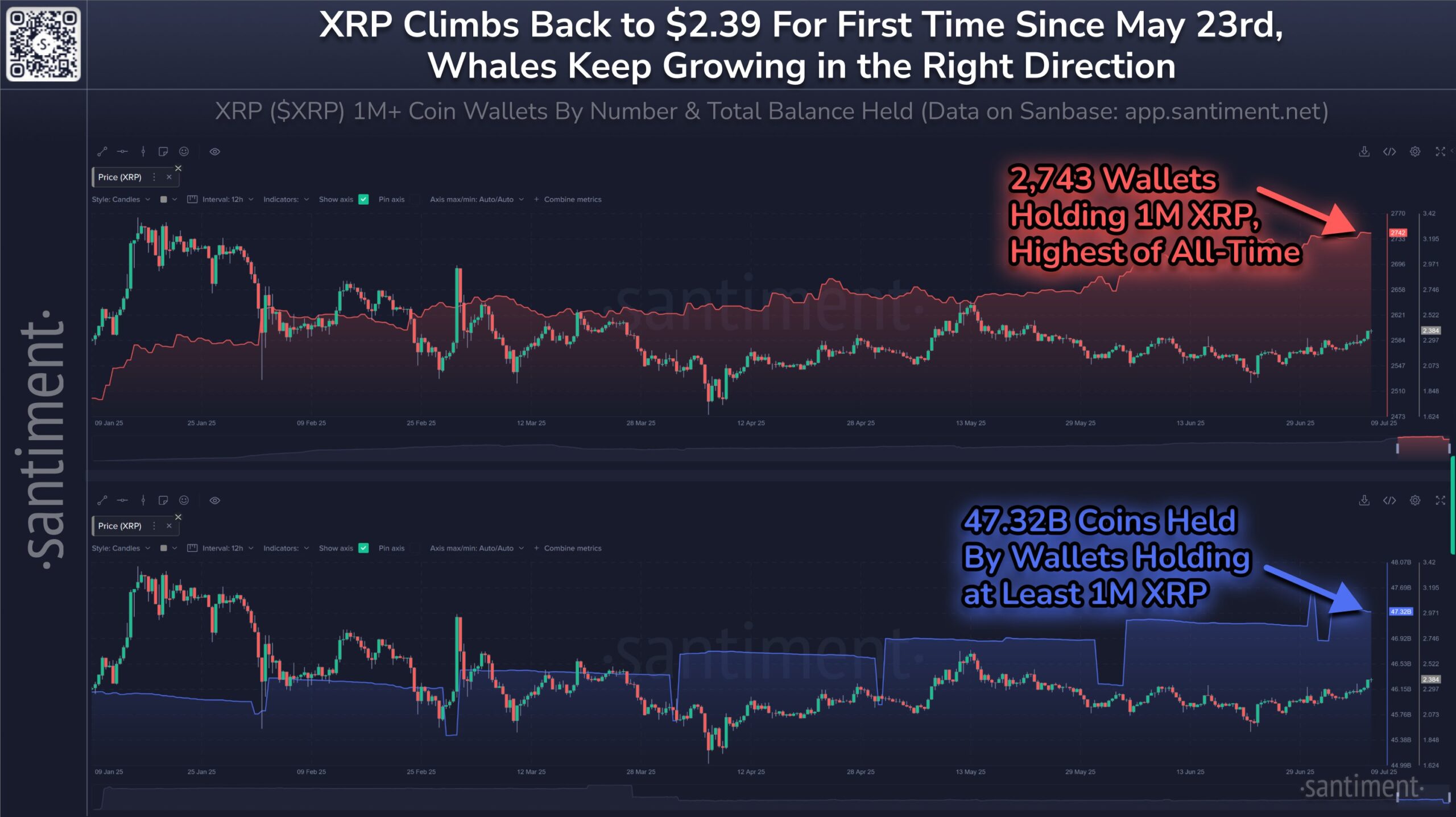 عناوين حيتان XRP
