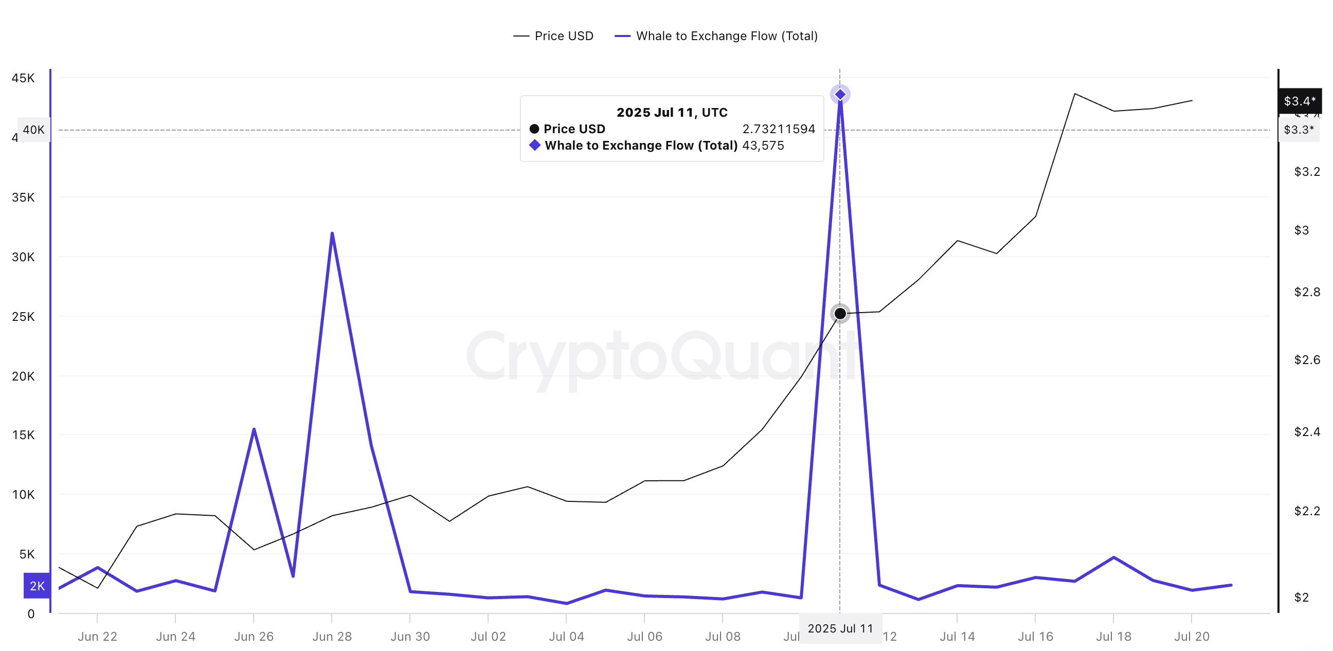 سعر XRP وتدفق الحيتان إلى البورصات