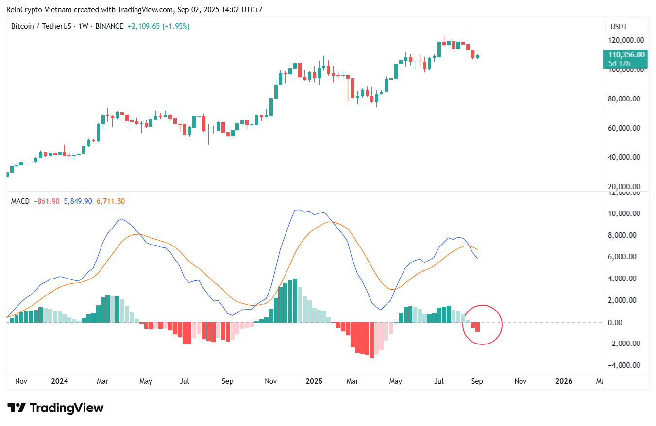 سعر بيتكوين ومؤشر MACD. المصدر: TradingView.
